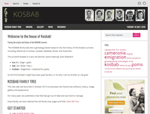 Tablet Screenshot of kosbab.org